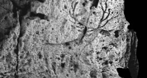 Duncraigaig Cairn Deer