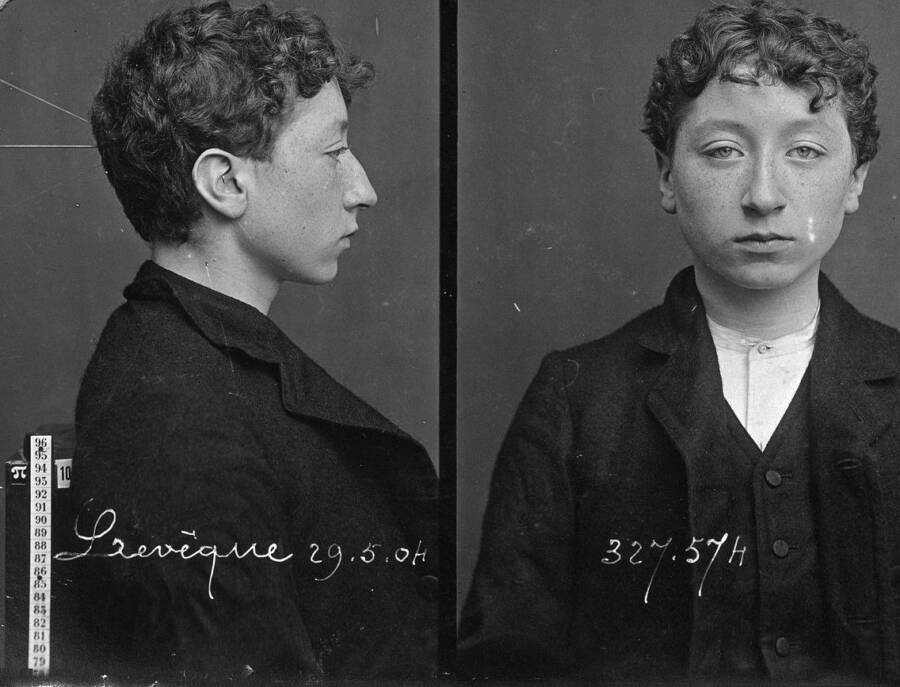 Alphonse Bertillon Mug Shot Of Young Person
