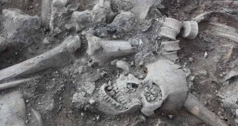 Crusaders Graves Sidon Castle