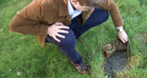 Rhode Island State Institute Cemetery Featured