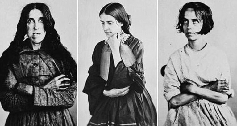 Bedlam Triptych