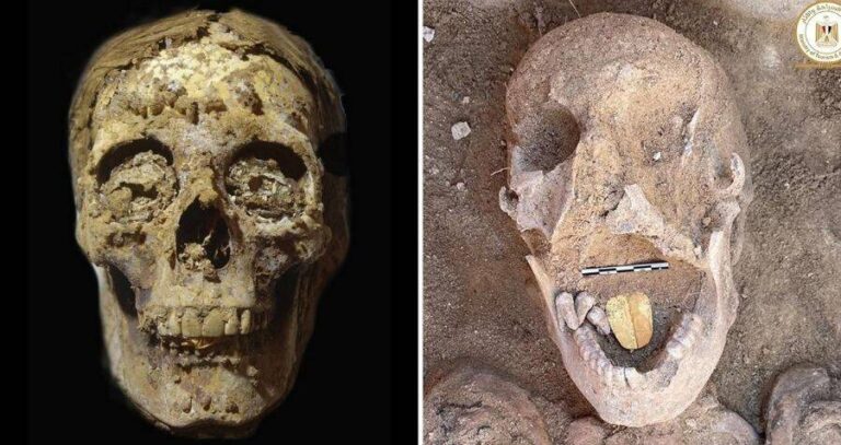 Oxyrhynchus Golden Tongued Mummies