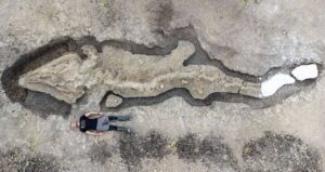 Ichthyosaur Alongside Human