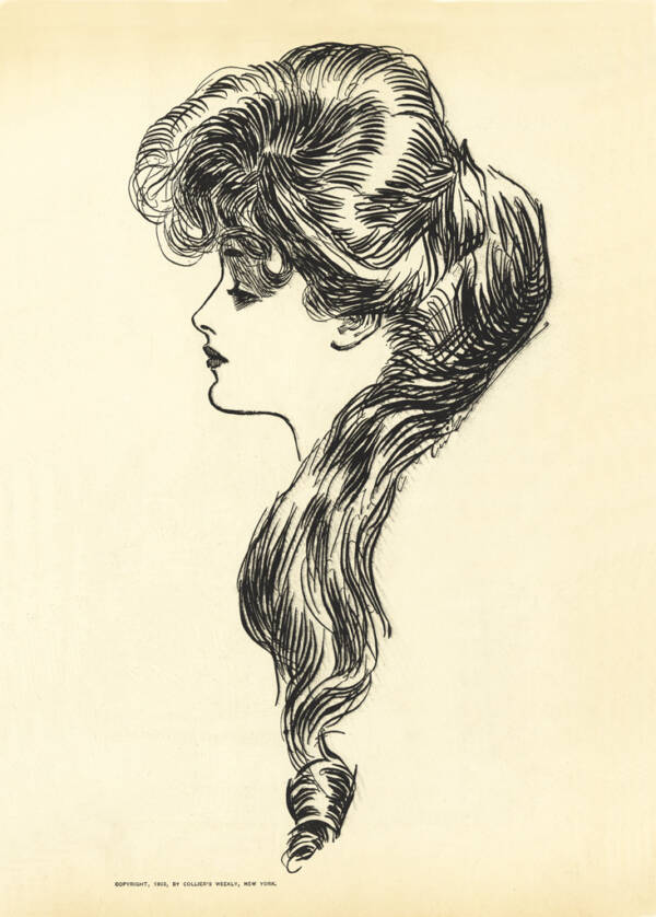 Gibson Girl Iconic Profile