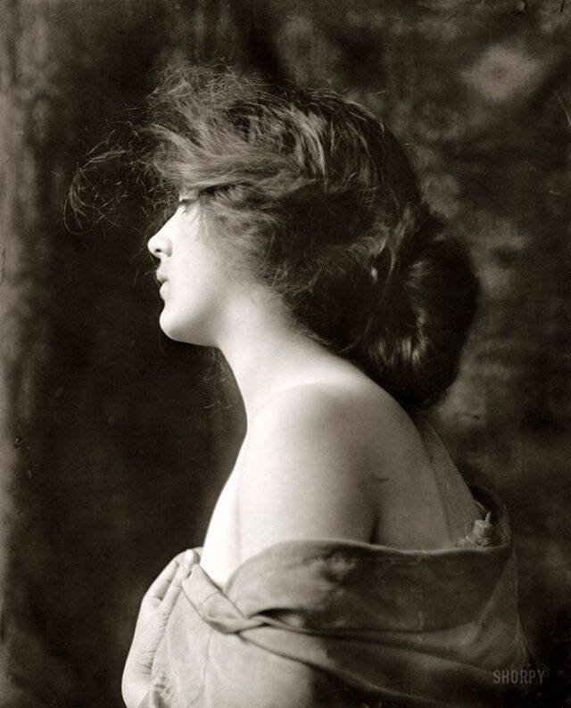 Gibson Girls