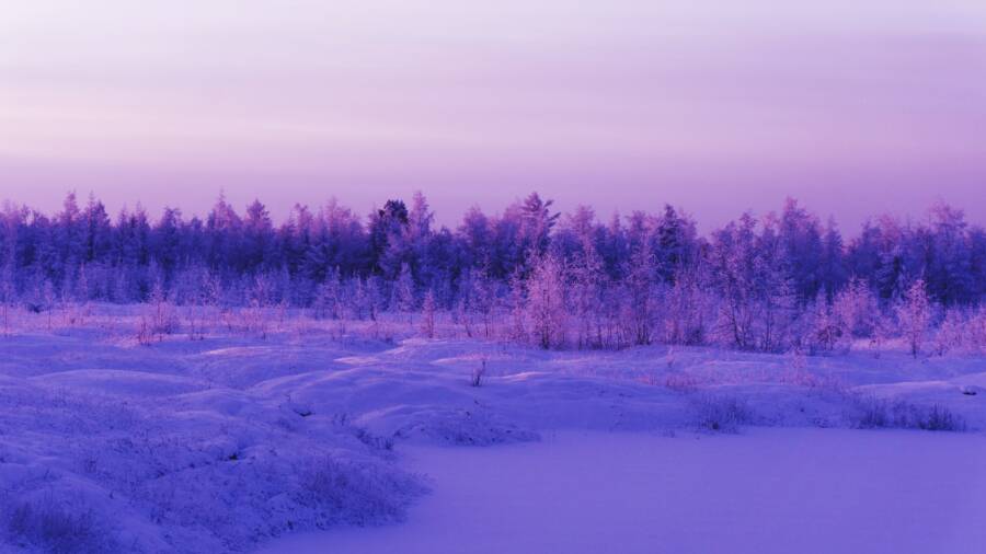 Snowy Purple Landscape Russia