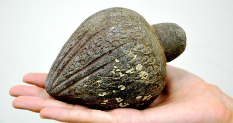 Grenade From Jerusalem