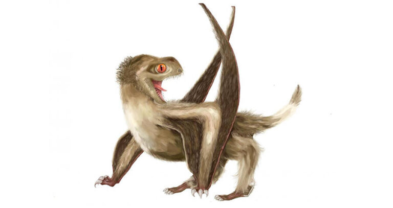 Artist Rendering Pterosaur