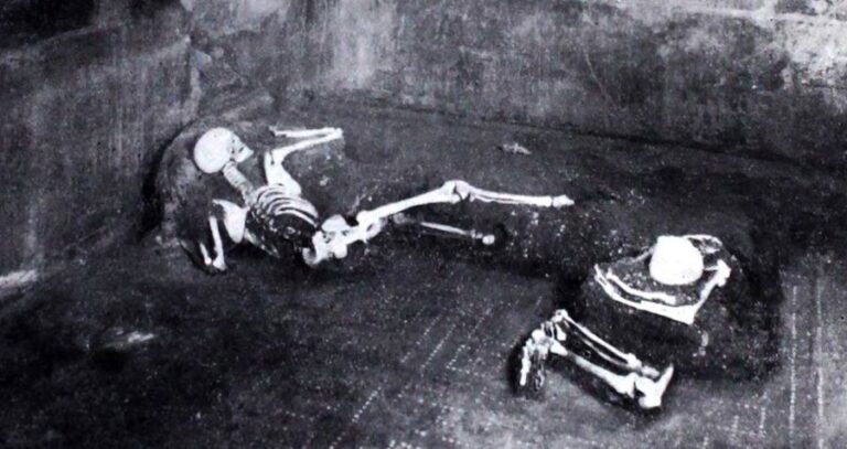 Pompeii Victim Genome