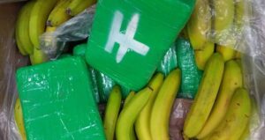 Cocaine With Bananas