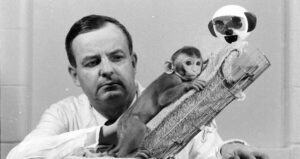 Harry Harlow