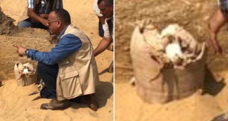Archaeologist Alongside Pot Of Halloumi