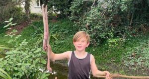 New Zealand Giant Earthworm