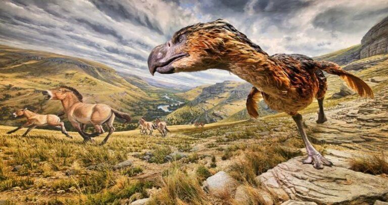 Terror Birds
