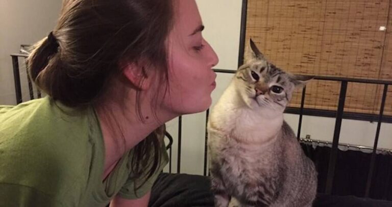 Unimpressed Cat