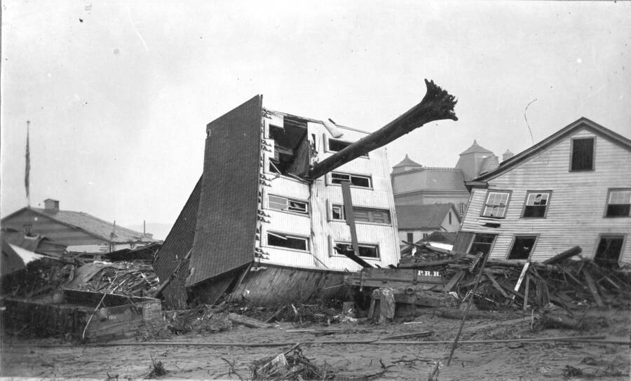 An Uprooted Tree In A House