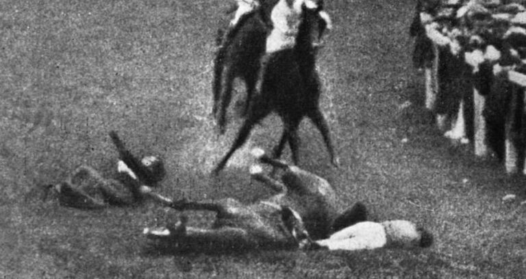 Davison And Horse Crash