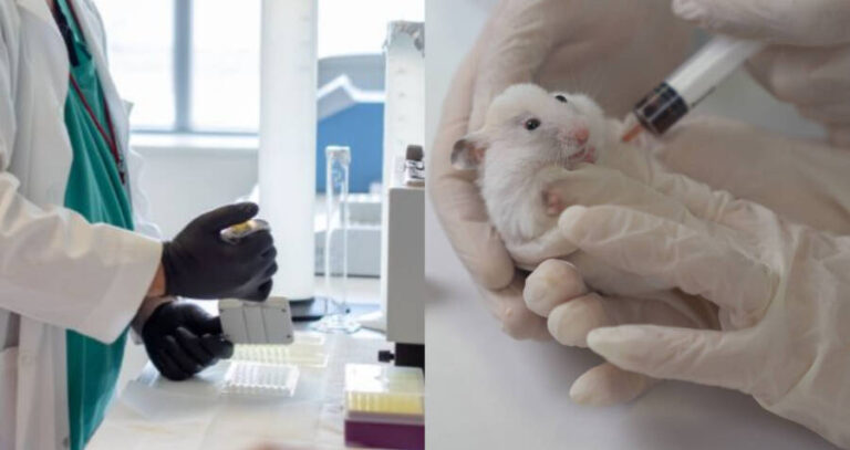 Testing The Vaccine