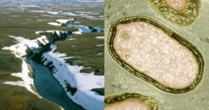 Virus Found In Permafrost