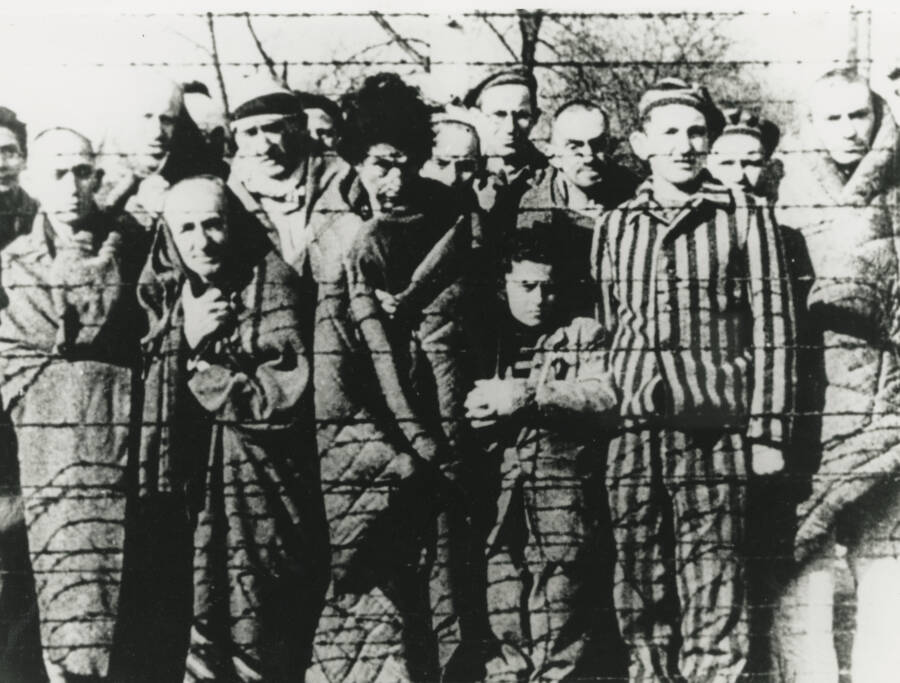 People At Auschwitz When The Red Army Arrived