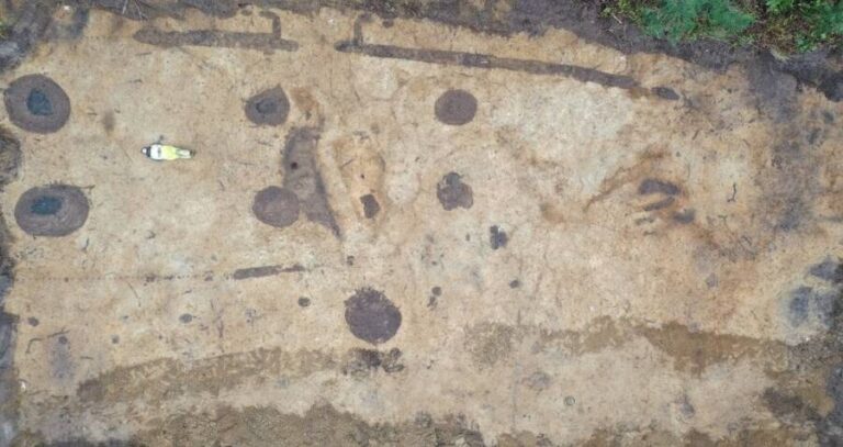 Harald Bluetooth Viking Hall