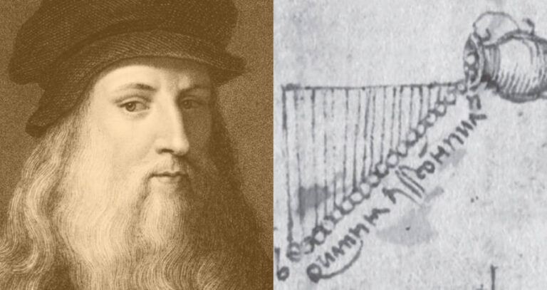Davinci Studies Gravity