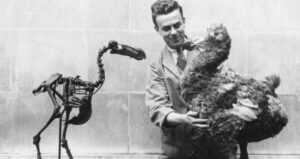 Dodo Deextinction