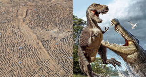 Amphibian And Dinosaur