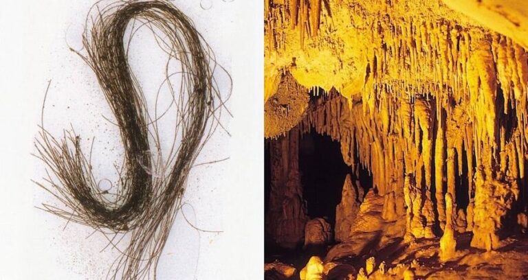 Ancient Hair Found In Cave