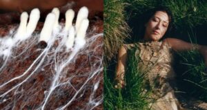 Fungal Clothing