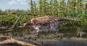 Barretti Reconstruction