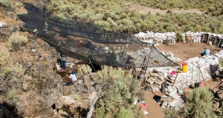 Archaeologists Inside Rimrock Draw Rockshelter