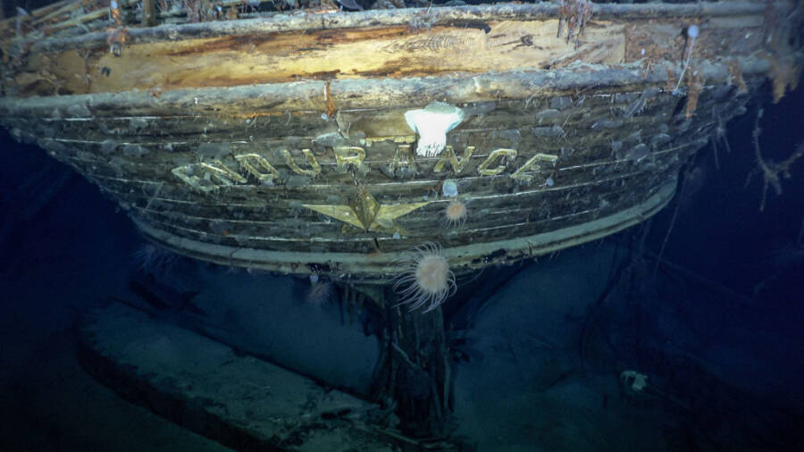 Endurance Stern