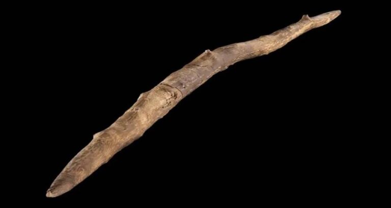 Hunting Stick