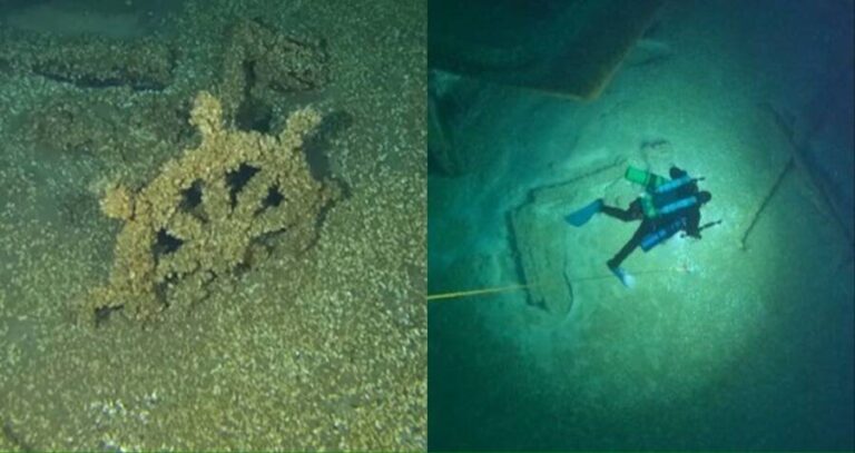 Shipwreck From Lake Michigan