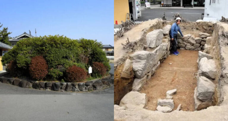 Shrub In The Parking Lot And Tomb