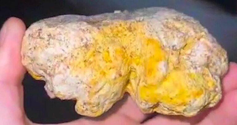 Ambergris Chunk In Hand