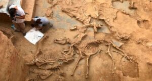 Casas Del Turunuelo Sacrifice Pit Featured