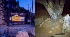 Cobb Estate Gate And Vandalized Tree Featured