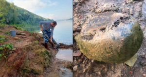 Woolly Mammoth Bones And Dig