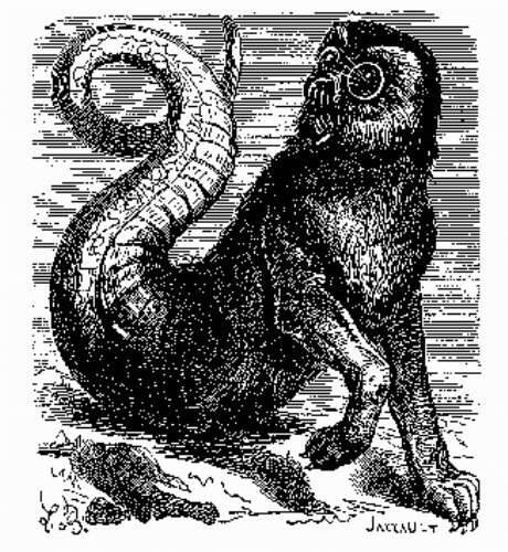 Aamon Demon