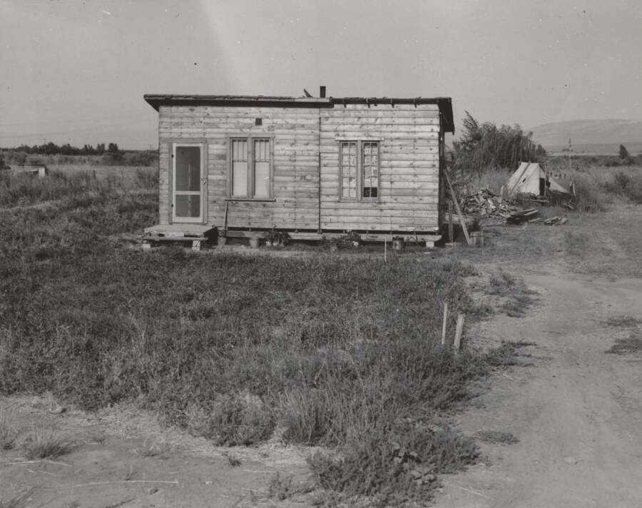 Built Shack
