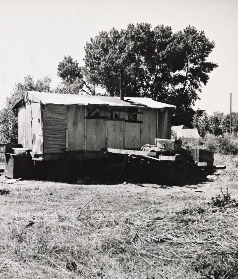 Flimsy Shack