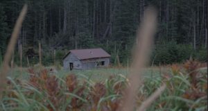 Portlock Alaska Featured