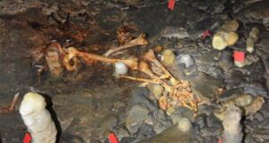 Spanish Cave Dwelling Featured