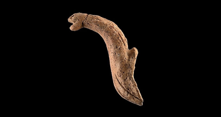 Featured Cobra Pottery Found In Taiwan