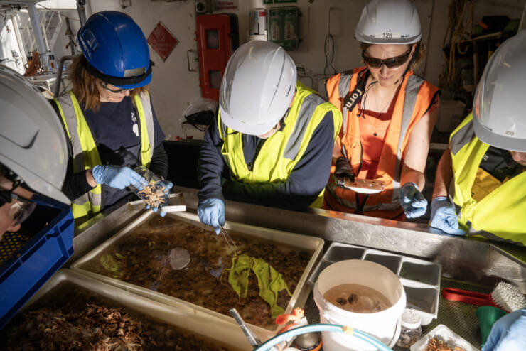 NIWA Researchers Analyzing Samples