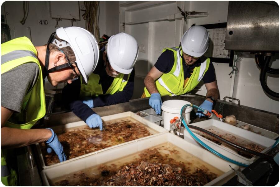 Ocean Census Team