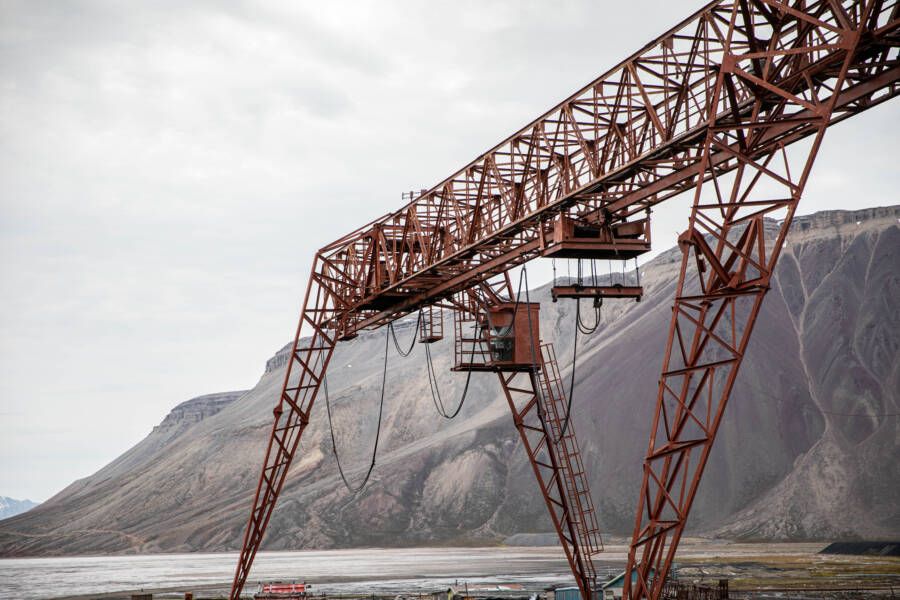Crane In Svalbard